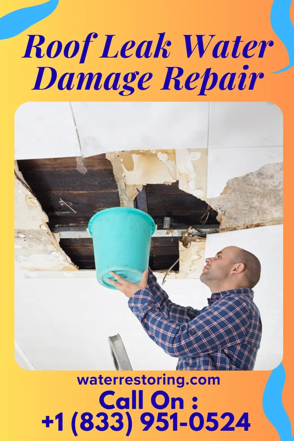 Roof Leak Water Damage Repair in West Plains, MO