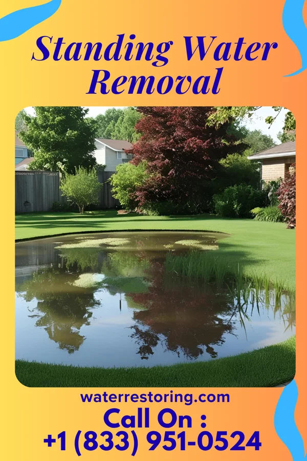 Standing Water Removal in West Plains, MO